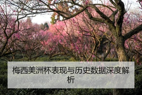 梅西美洲杯表现与历史数据深度解析